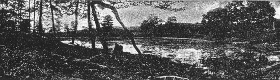 Bloddy Pond, About Seven Miles North of Glens Falls