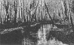 Half-Way Brook Historical Marker